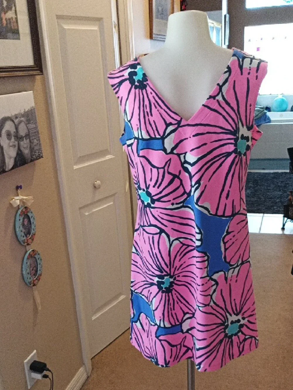 Mahi Gold Pink & Blue Floral V-Neck Shift Dress Size Medium - Picture 3 of 5